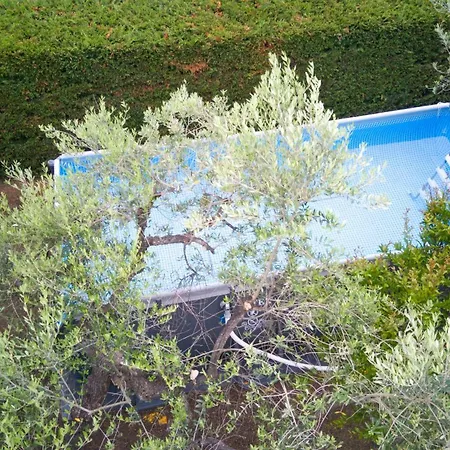 Casa Dello Psiconauta - Atelier Con Giardino Mediterraneo Villa *