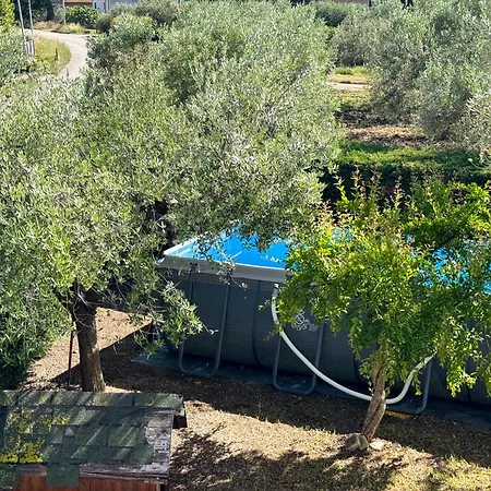 Casa Dello Psiconauta - Atelier Con Giardino Mediterraneo Villa