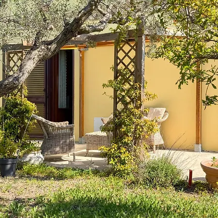 Casa Dello Psiconauta - Atelier Con Giardino Mediterraneo 别墅