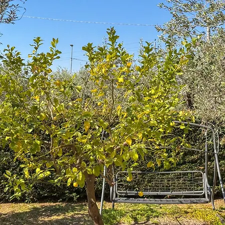 Villa Casa Dello Psiconauta - Atelier Con Giardino Mediterraneo